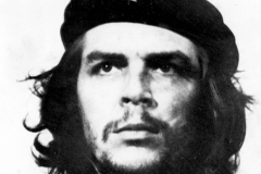 22-che